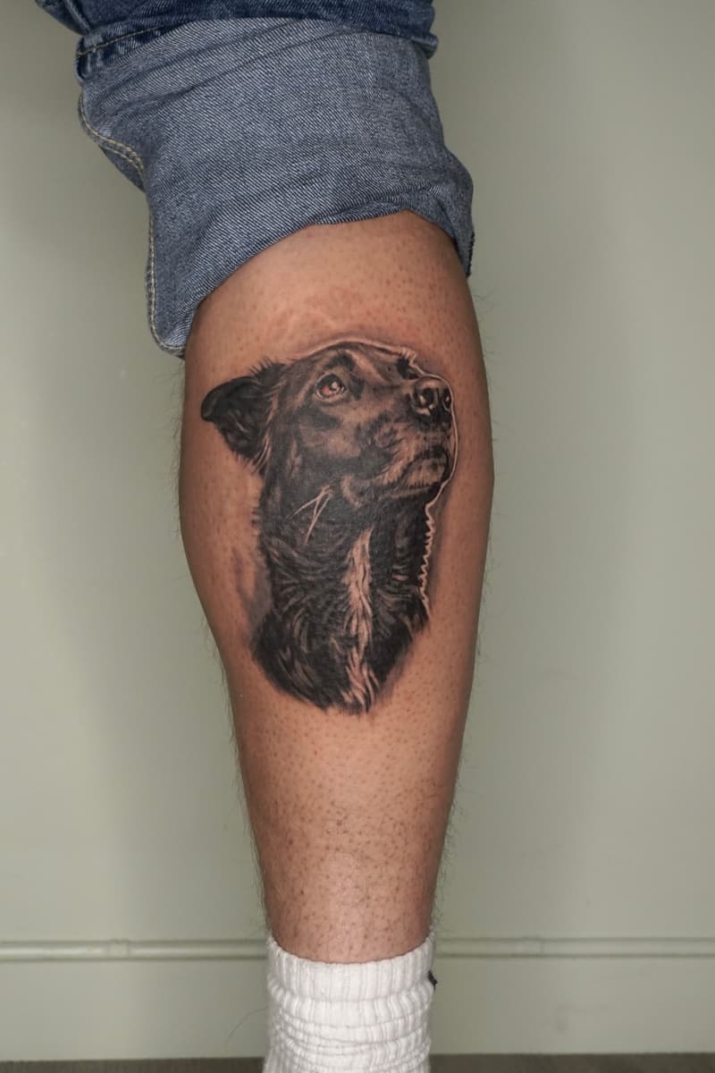Black-and-grey calf tattoo of a dog portrait, facing slightly upward, with realistic fur texture and a light patch on the chest.