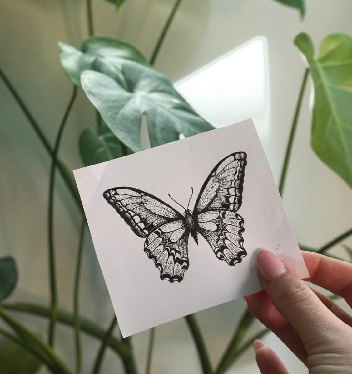 Healed black and grey skull tattoo by Stephanie, done in fine line and dotwork style on the upper arm
